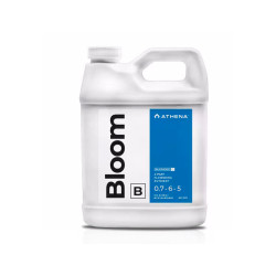 Athena Bloom B 32oz