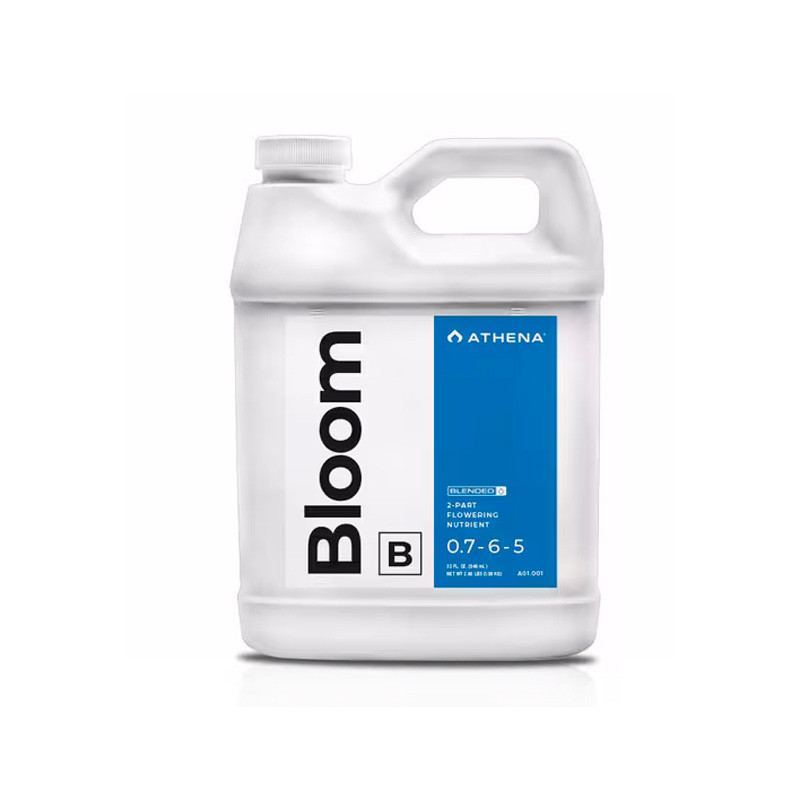 Athena Bloom B 32oz