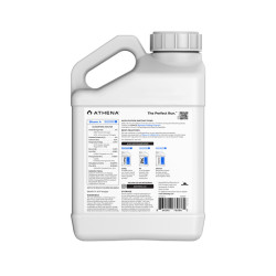 Athena Bloom A 1gal