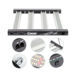 Growtech Panel Led Lucius 240w