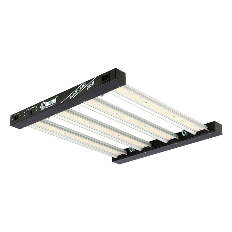 Growtech Panel Led Lucius 240w