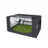 Probox Propagator M (60x80x40) Garden