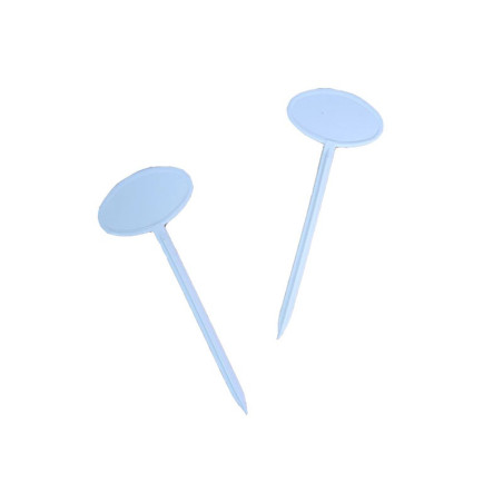 Delfi Cartel Entero Chico