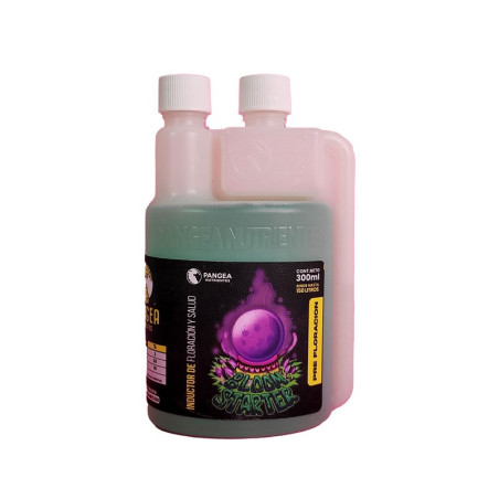 Pangea Bloom Starter 300ml