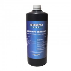 Revegetar Bacillus Subtilis 1l