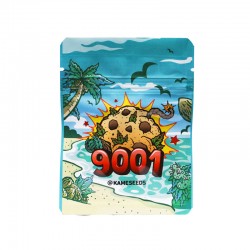 Kame Seeds 9001 Sativa x3