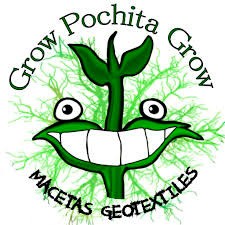 Pochita